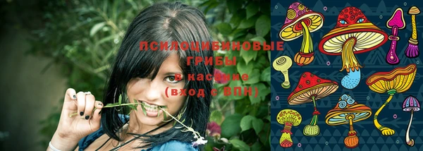 герыч Дмитровск