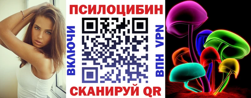 Купить закладки  Сертолово  Галлюциногенные грибы Psilocybe 